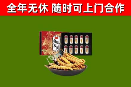 南丹县回收冬虫夏草价格