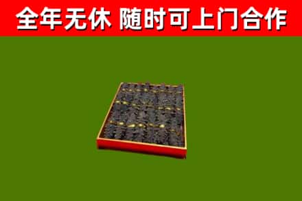 南丹县回收海参